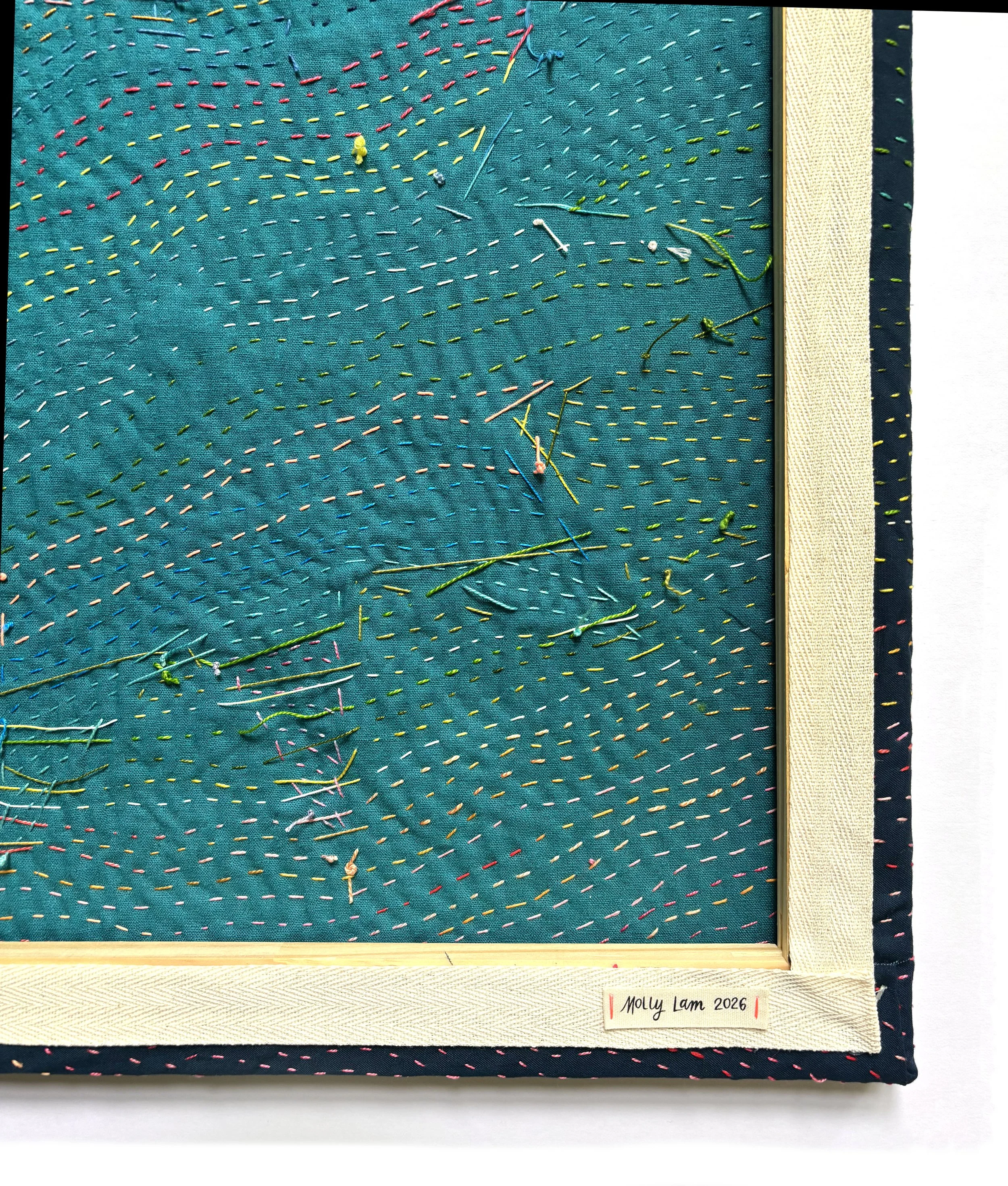 Molly Lam_Large Stretched Canvas Star No5_3.jpeg