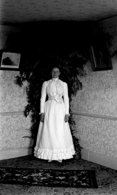 Glass Plate Image 11