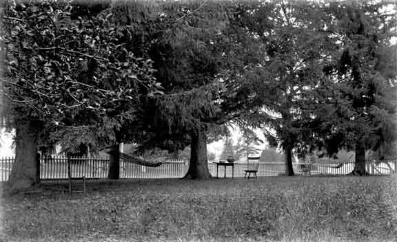 Glass Plate Image 19