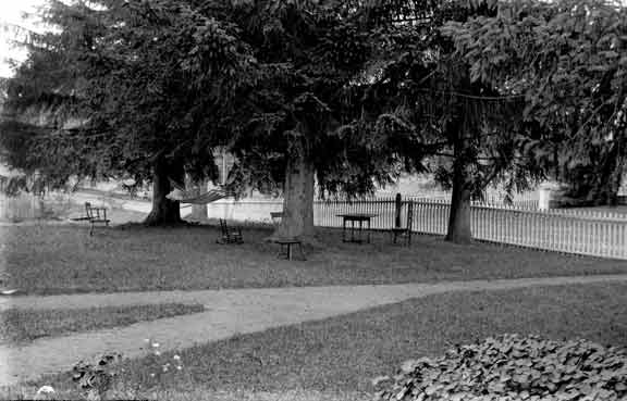 Glass Plate Image 21