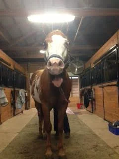 He is not releasing as much!