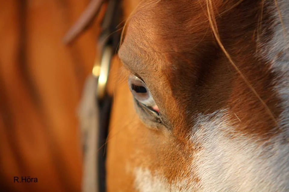 Give what you didn't get