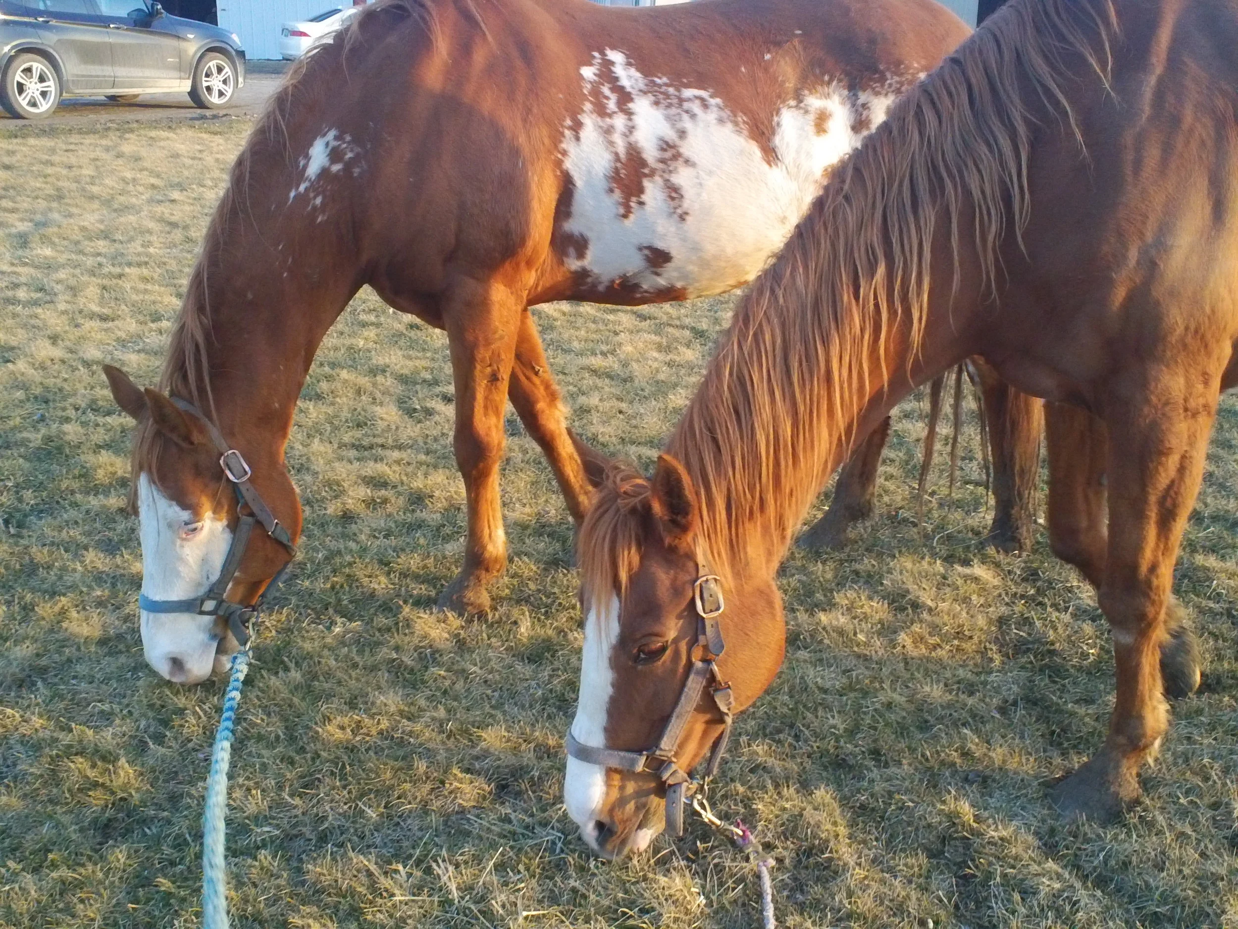 So why did this happen?