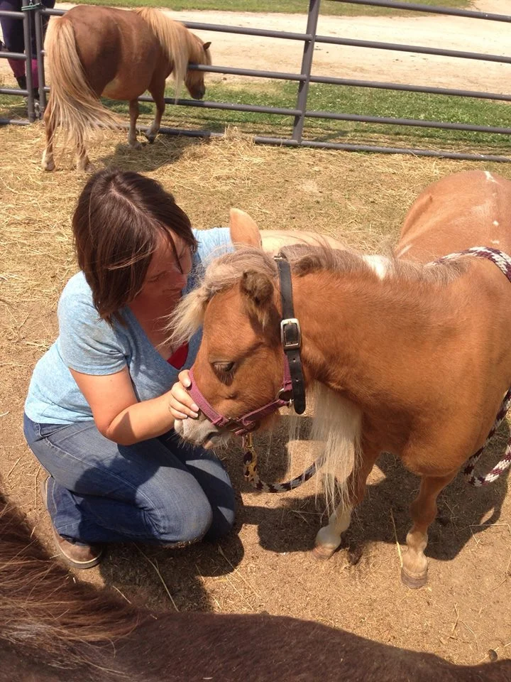 Taking a step back - appreciating the whole