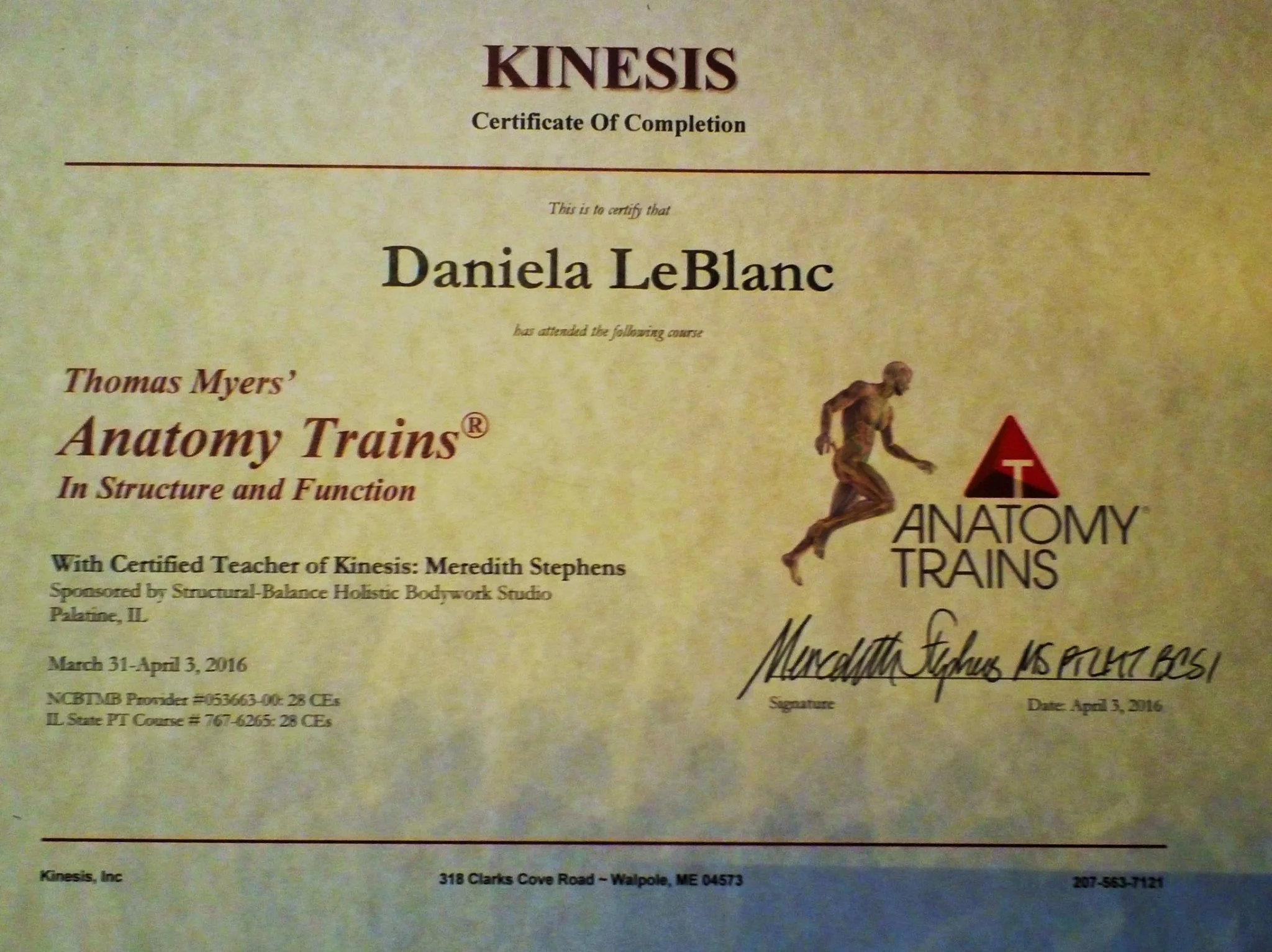 Fascia - Connecting It All