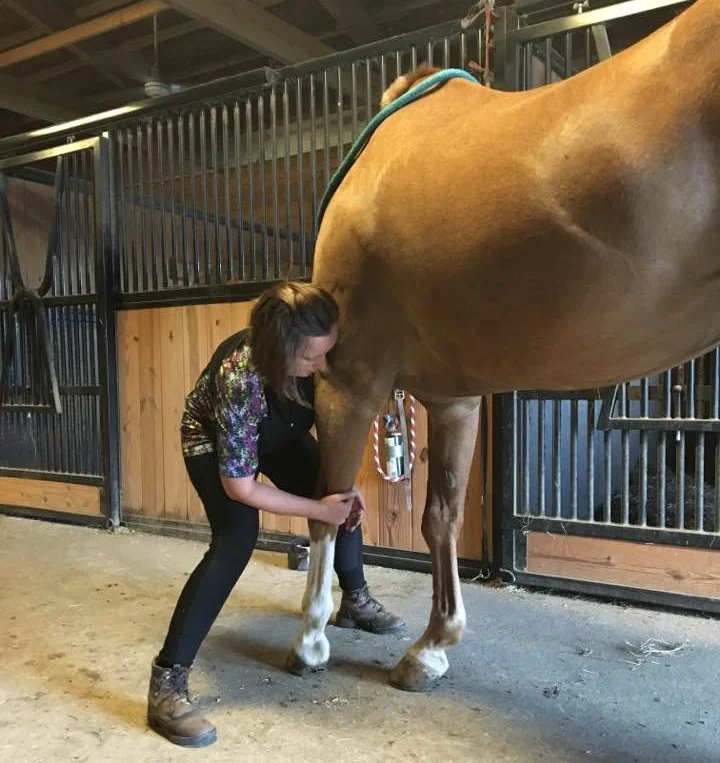 Seeing opportunities instead of roadblocks