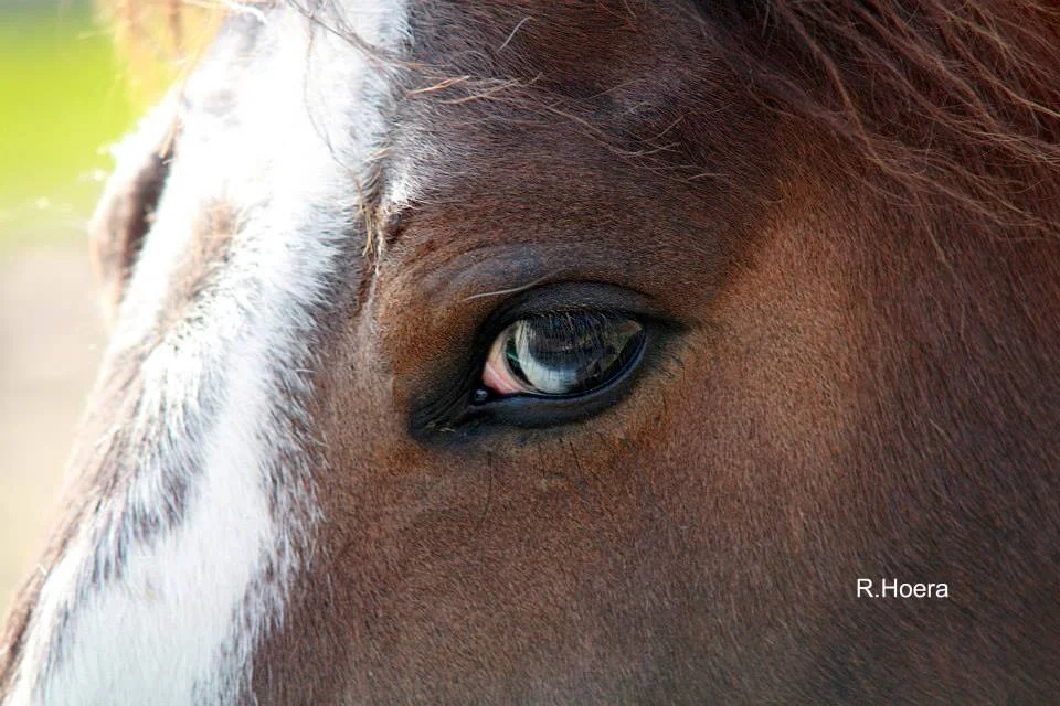 So what IS bodywork? 