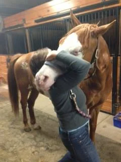 Chase - very relaxed - allowing me to release tension in his poll