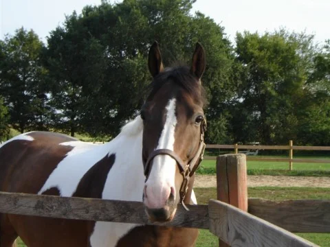 The Value Of Subtle Communication