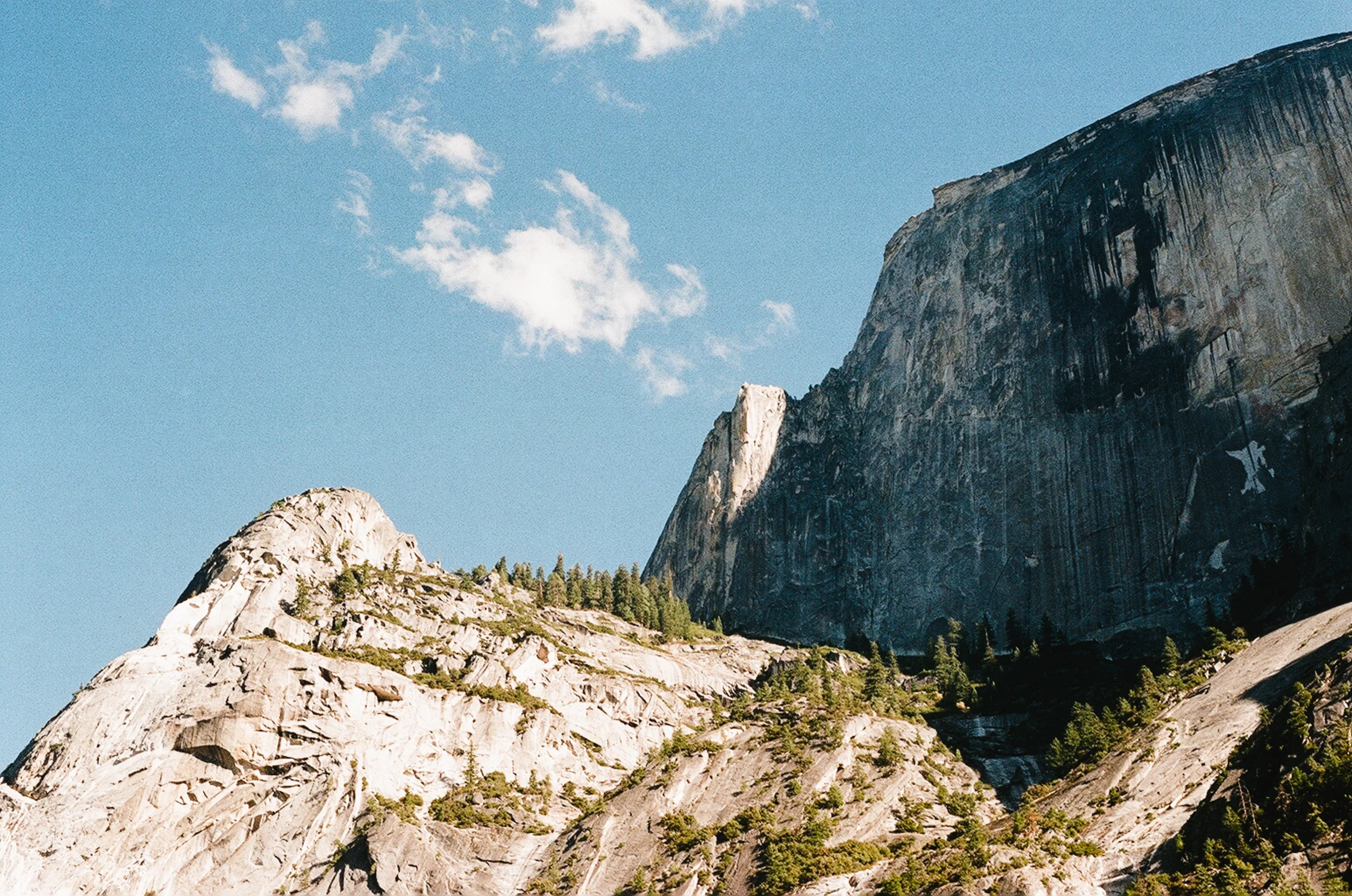 77440003-306.jpg
