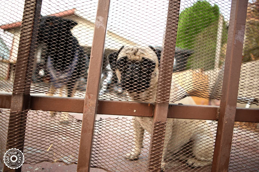 Death Valley Run 2014 Part 1-001.jpg