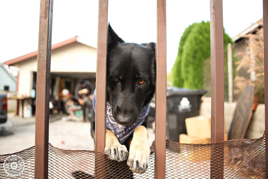 Death Valley Run 2014 Part 1-000.jpg