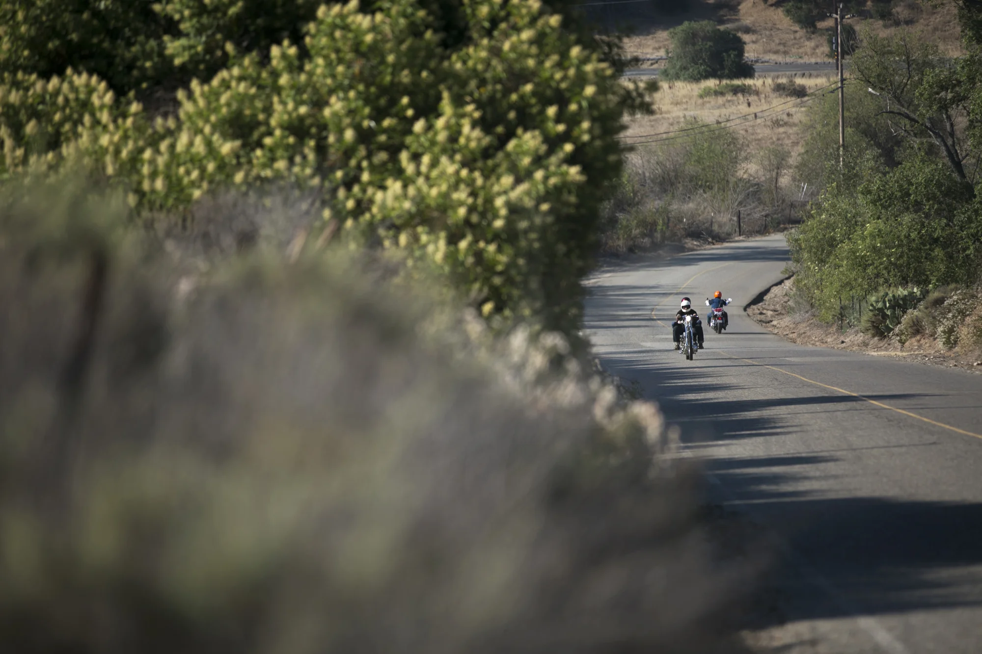 Born Free 8 Motorcycle Show-000.jpg