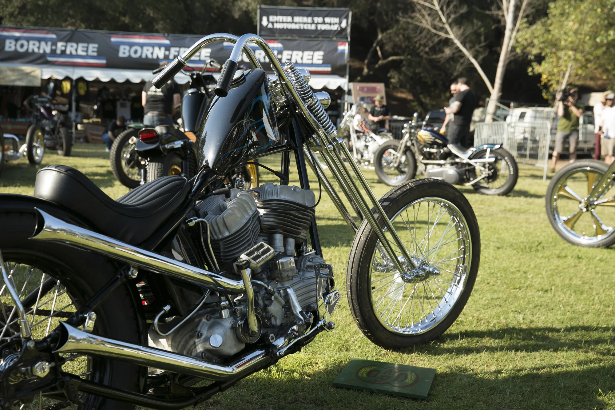 Born Free 8 Motorcycle Show-018.jpg