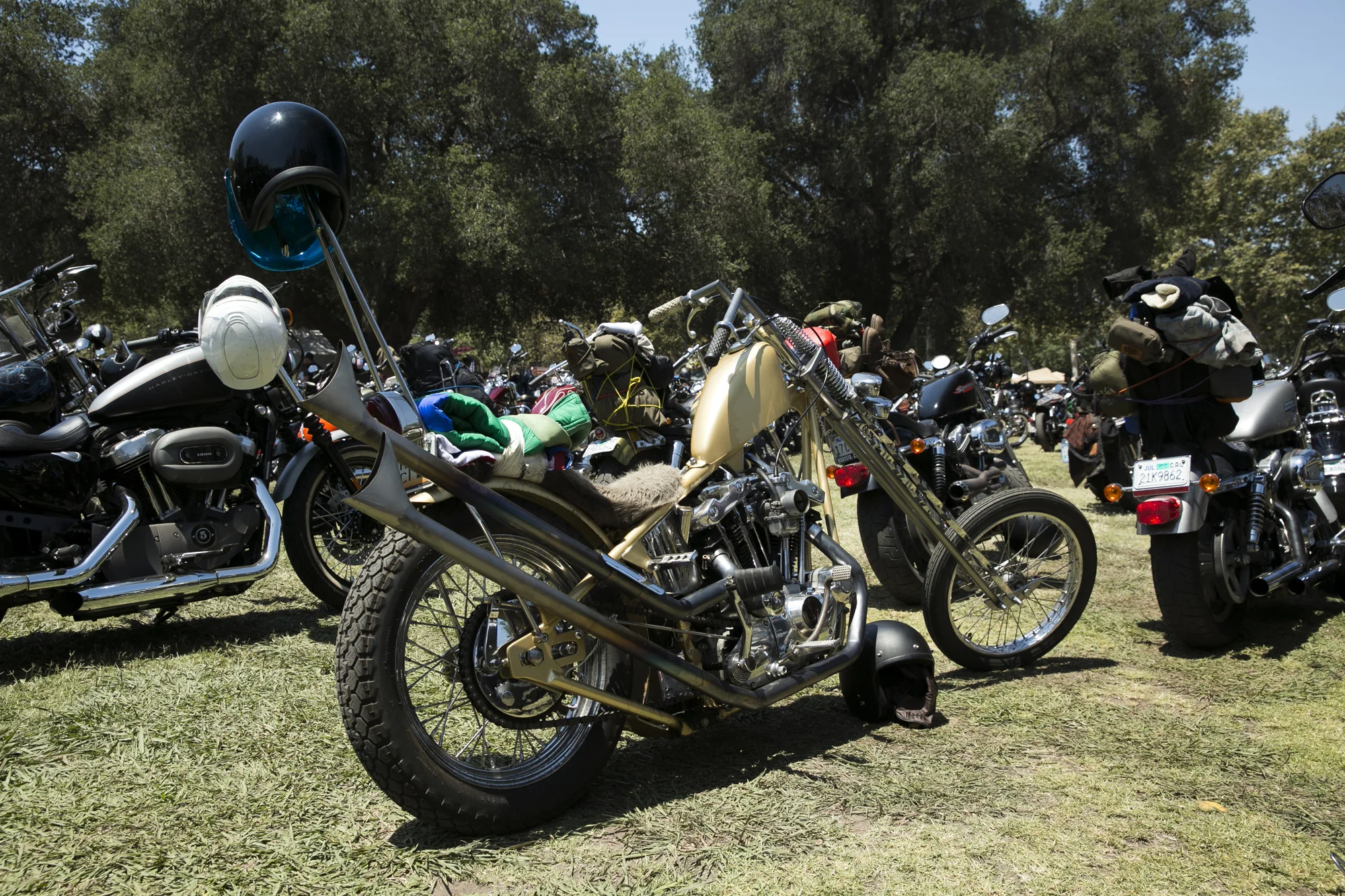Born Free 8 Motorcycle Show-116.jpg
