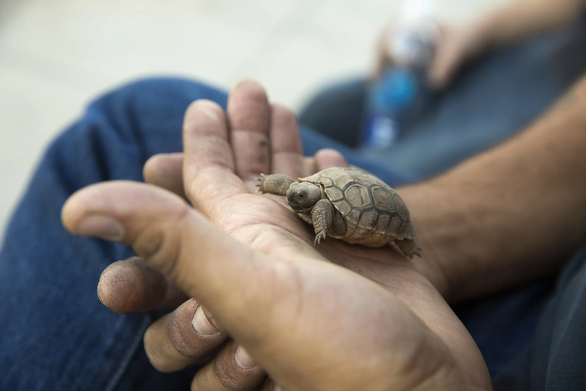 DVR 2016 - Day 1-018.jpg