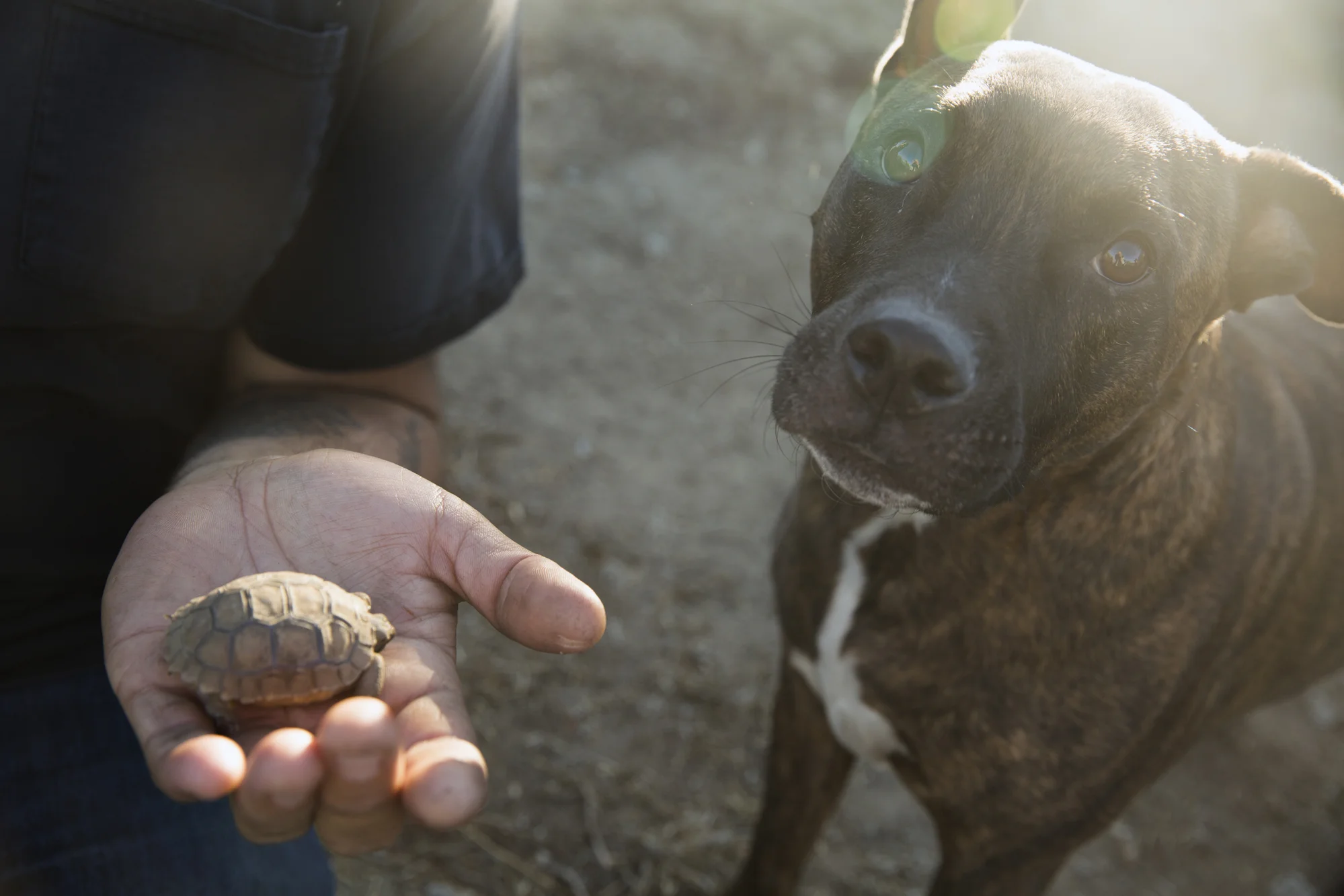 DVR 2016 - Day 1-019.jpg