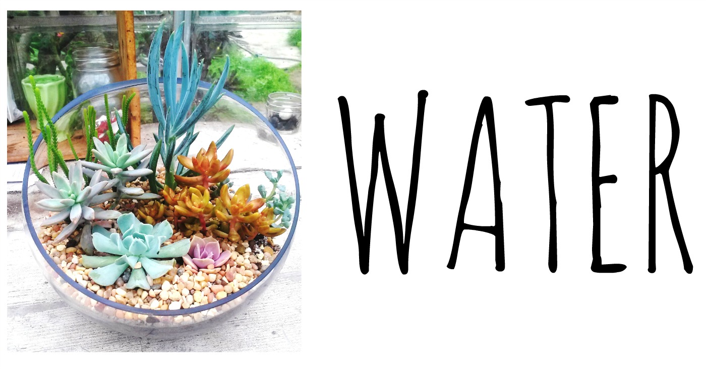 WATER.jpg