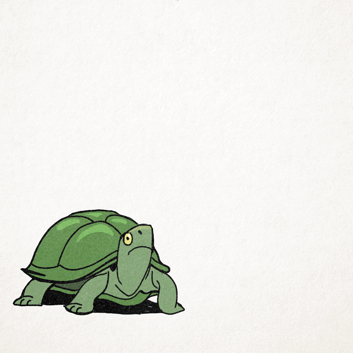 TurtleColor!.gif