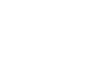 flow.png