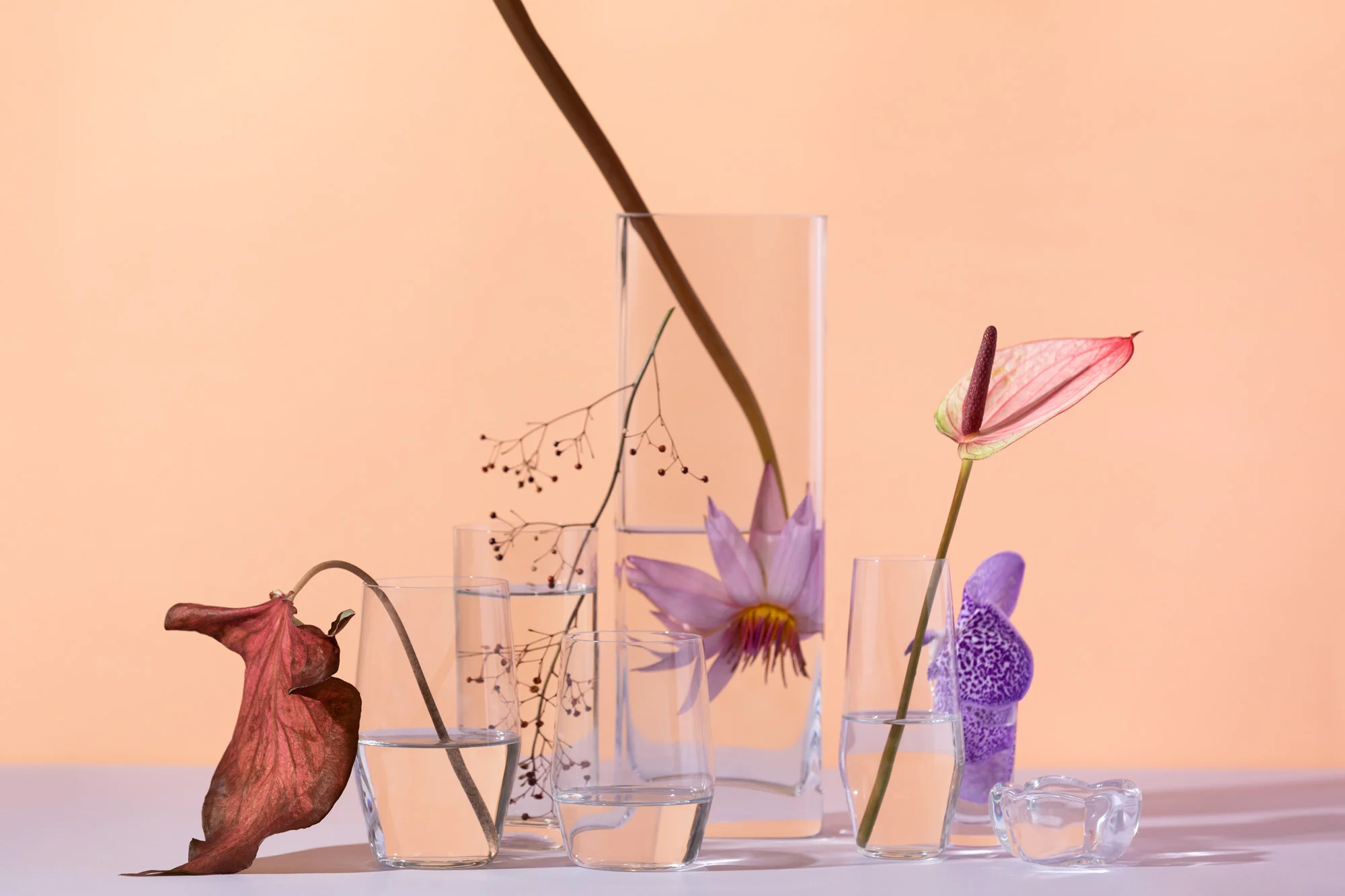 StillLife_004.jpg