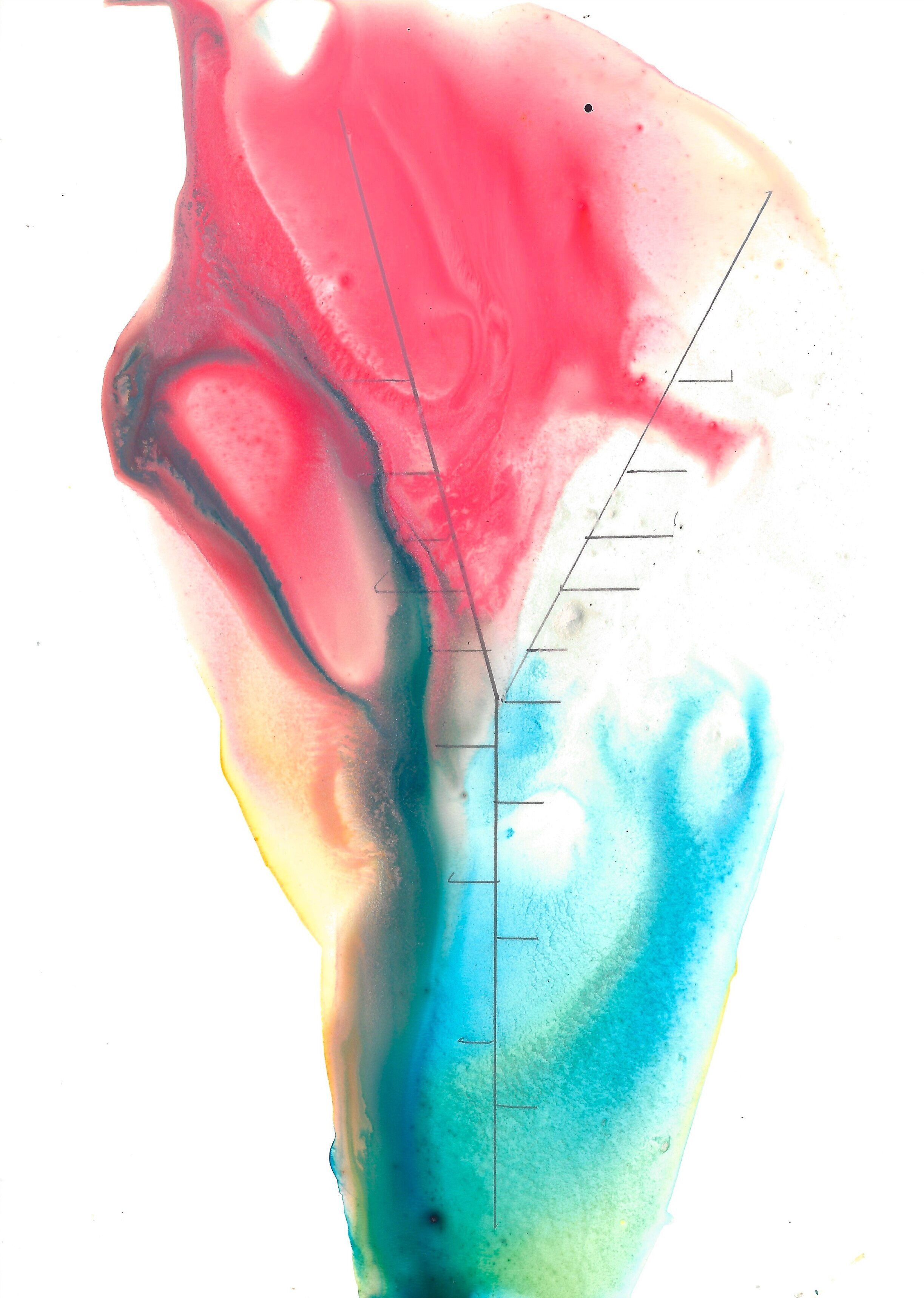 "Vulnerability" Runner-up