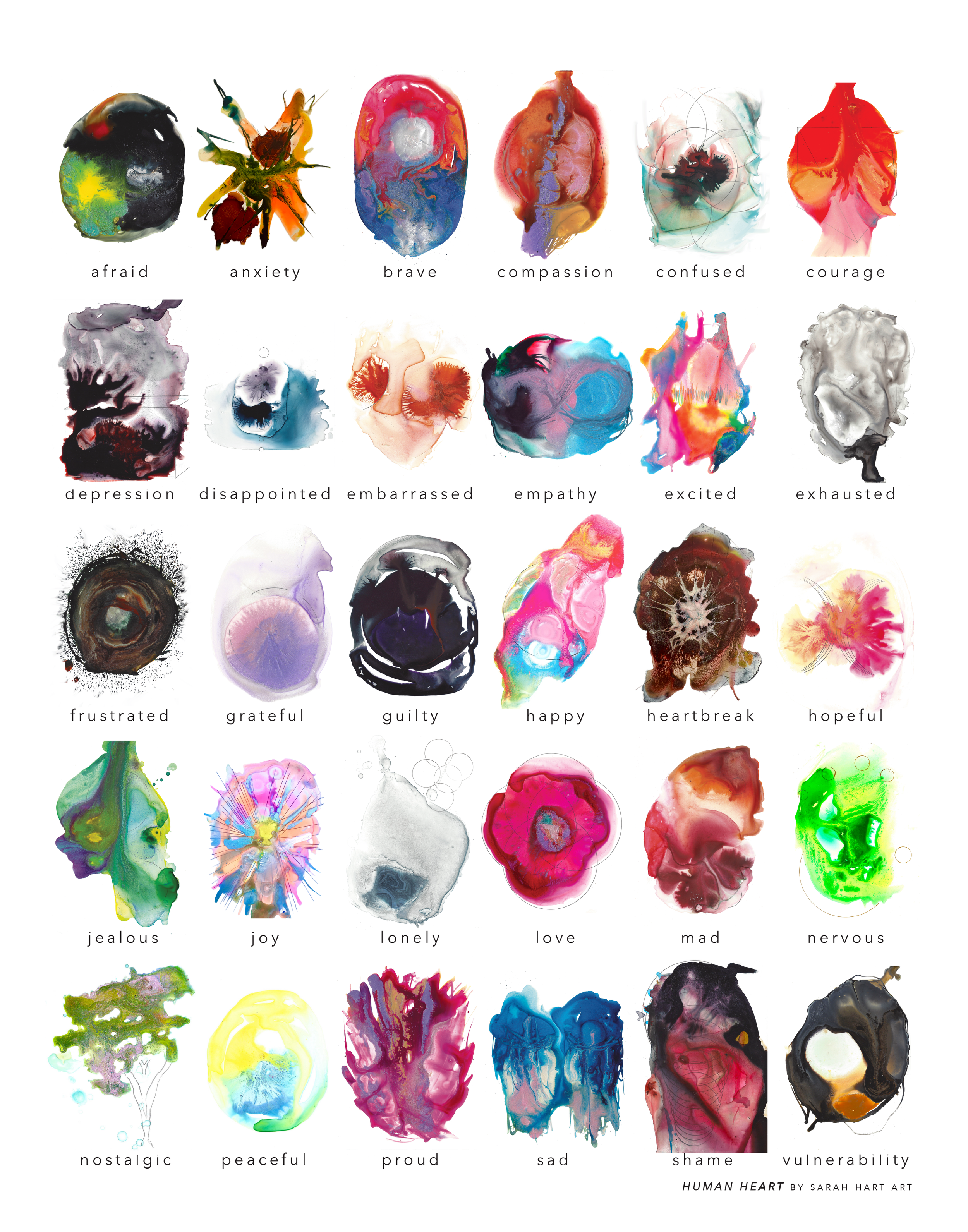 human_heart-01.png