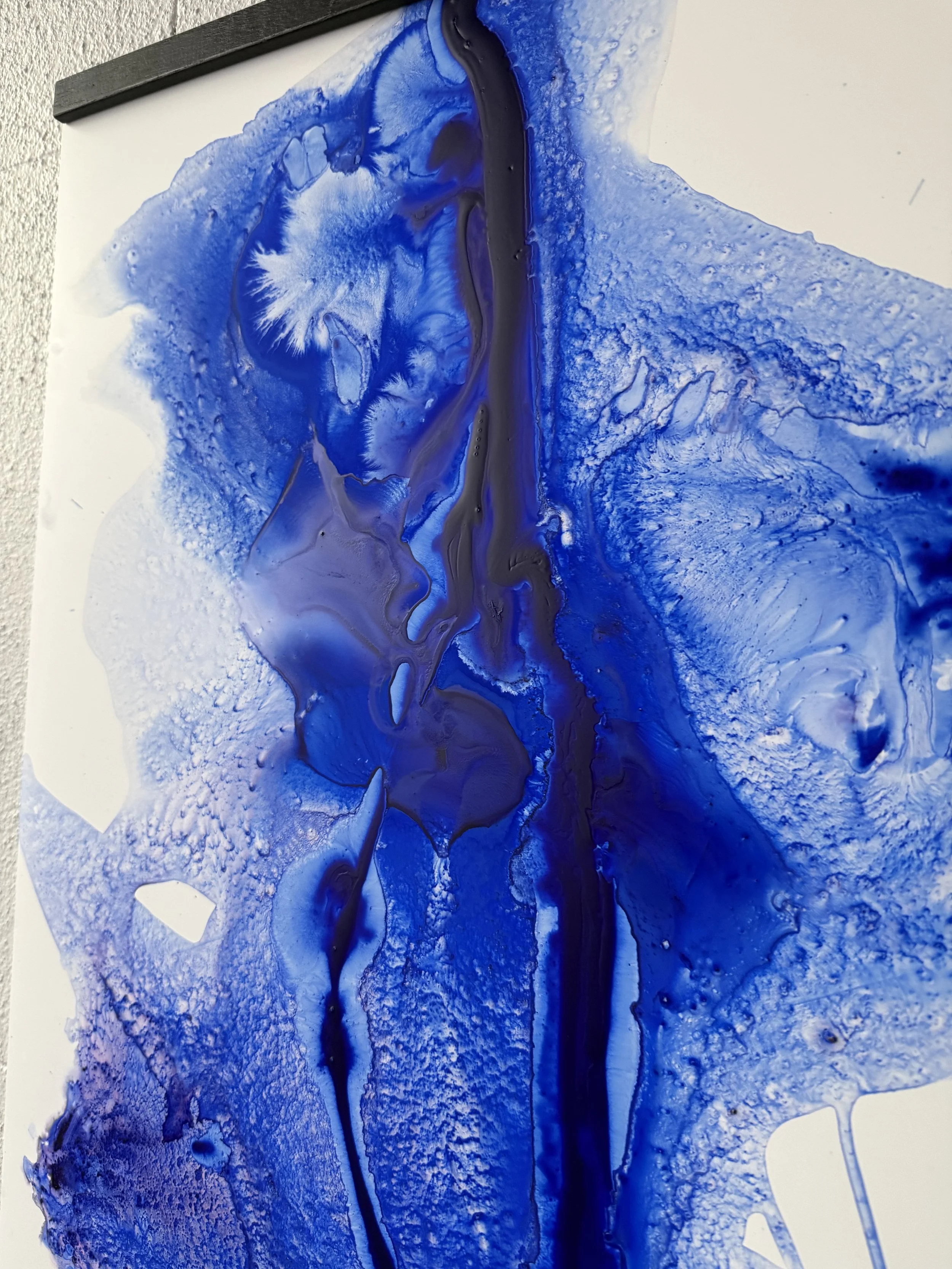 Carel Blue 1.4.jpg