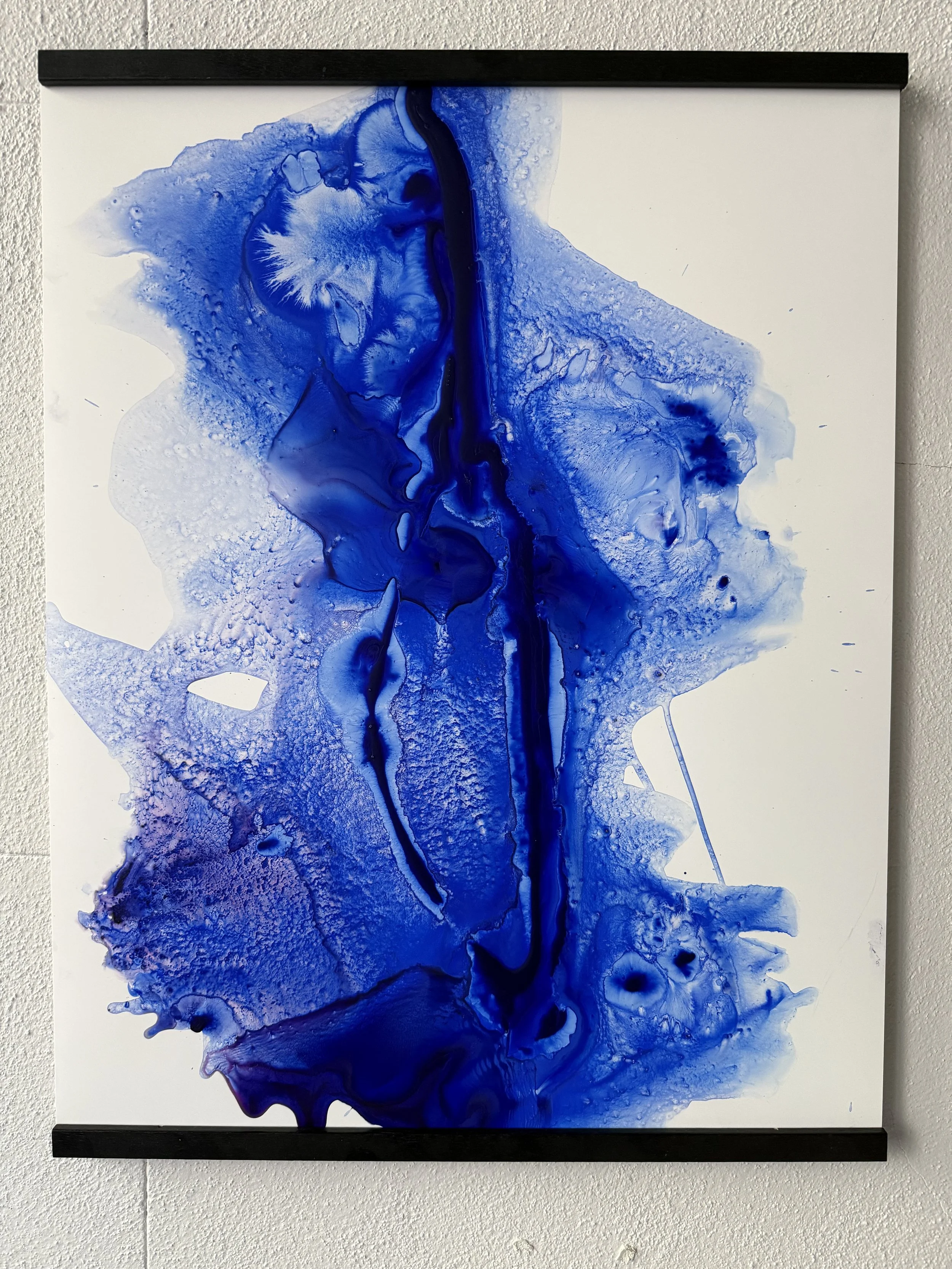 Carel Blue 1.2.jpg