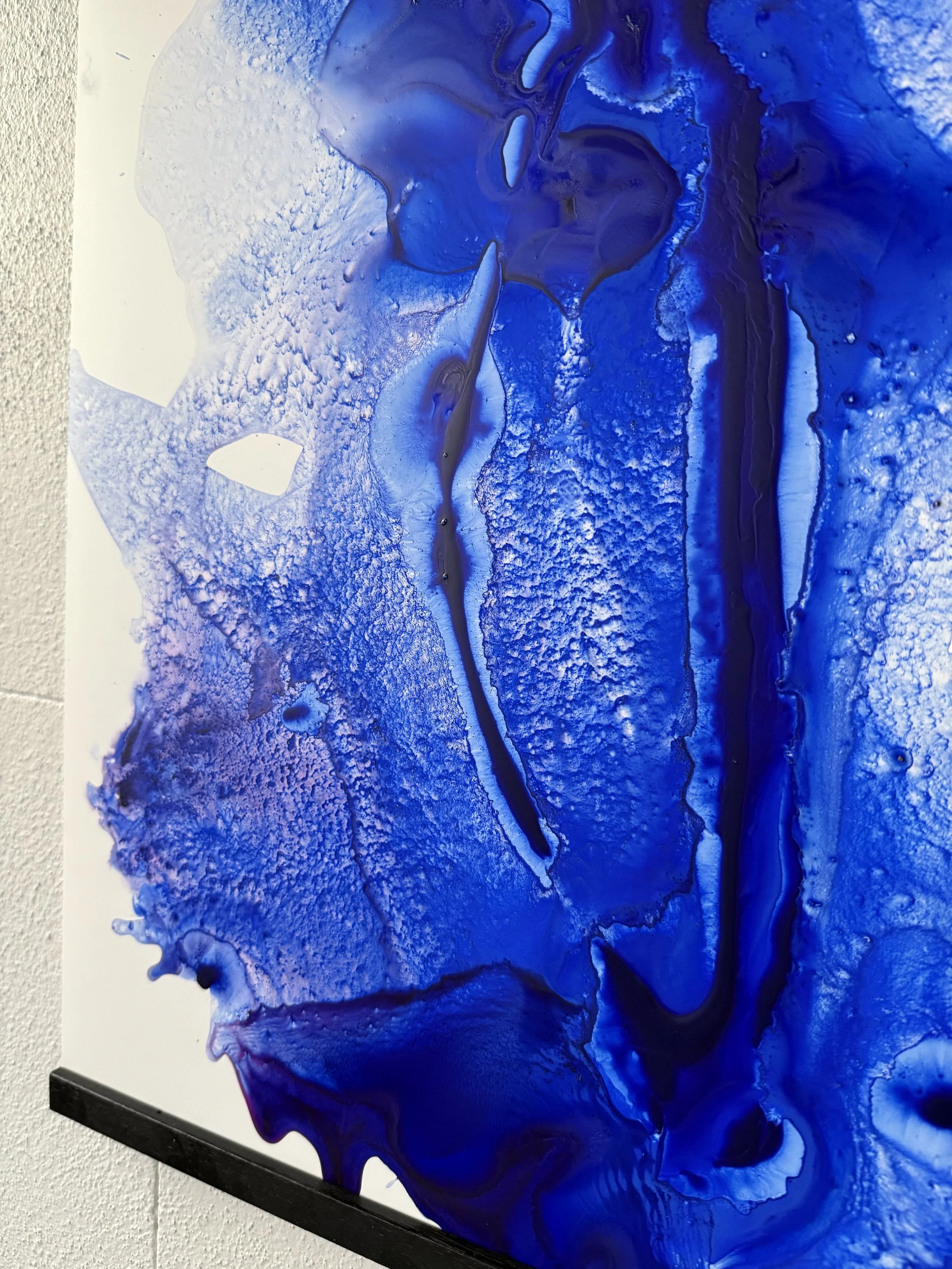 Carel Blue 1.3.jpg
