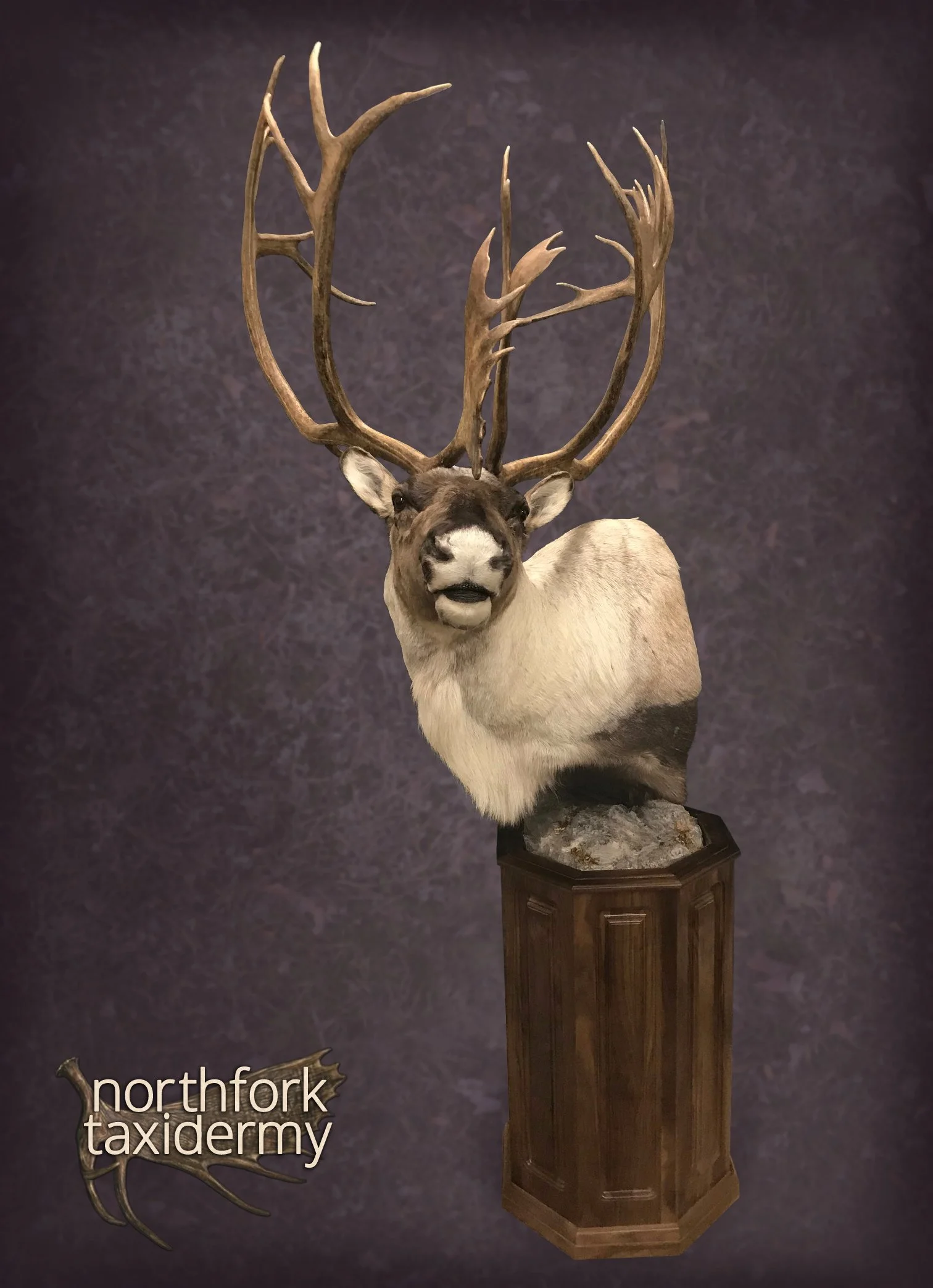 Nrthfrk_Caribou_II.jpeg