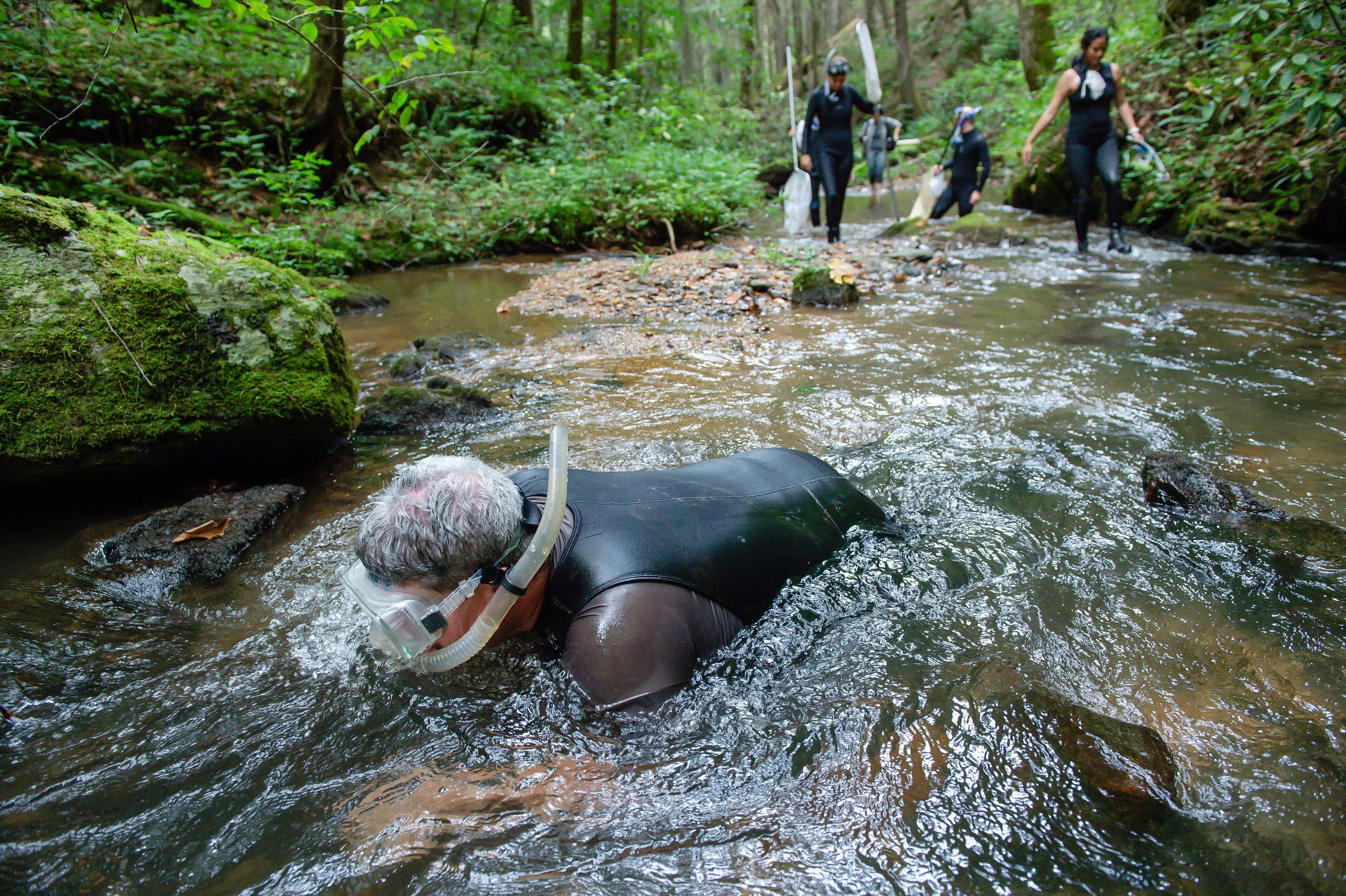 Georgia Department of Natural Resources wildlife biologist Thomas Floyd (foreground) and other biologists and ecologists participate in a scheduled survey of the Eastern hellbender in the Chattahoochee National Forest in North Georgia Friday, Aug. 31, 2018.