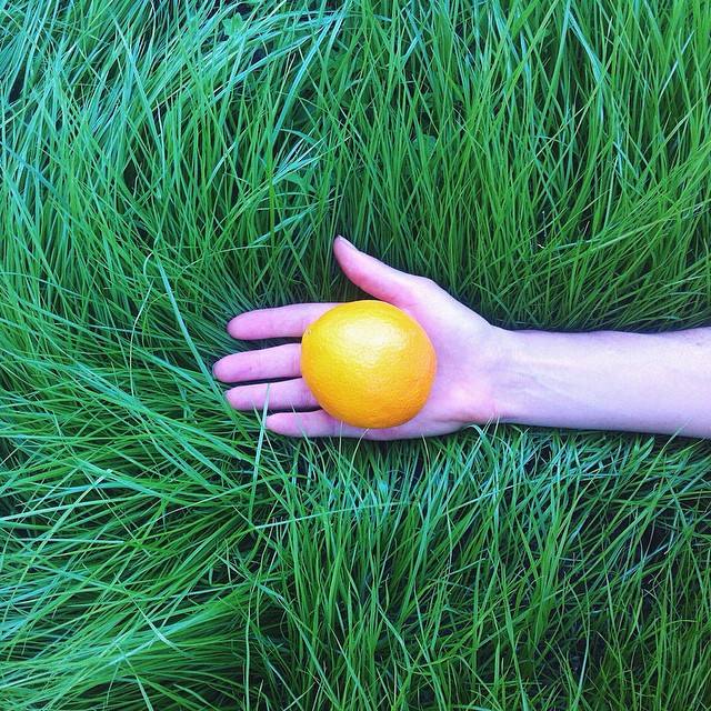 Day 6 - The best way to know the quality & source of your food, is to grow your own. You can do this organically by using heirloom seeds and traditional methods like companion planting which eliminates the need for nasty chemicals. Try it today!