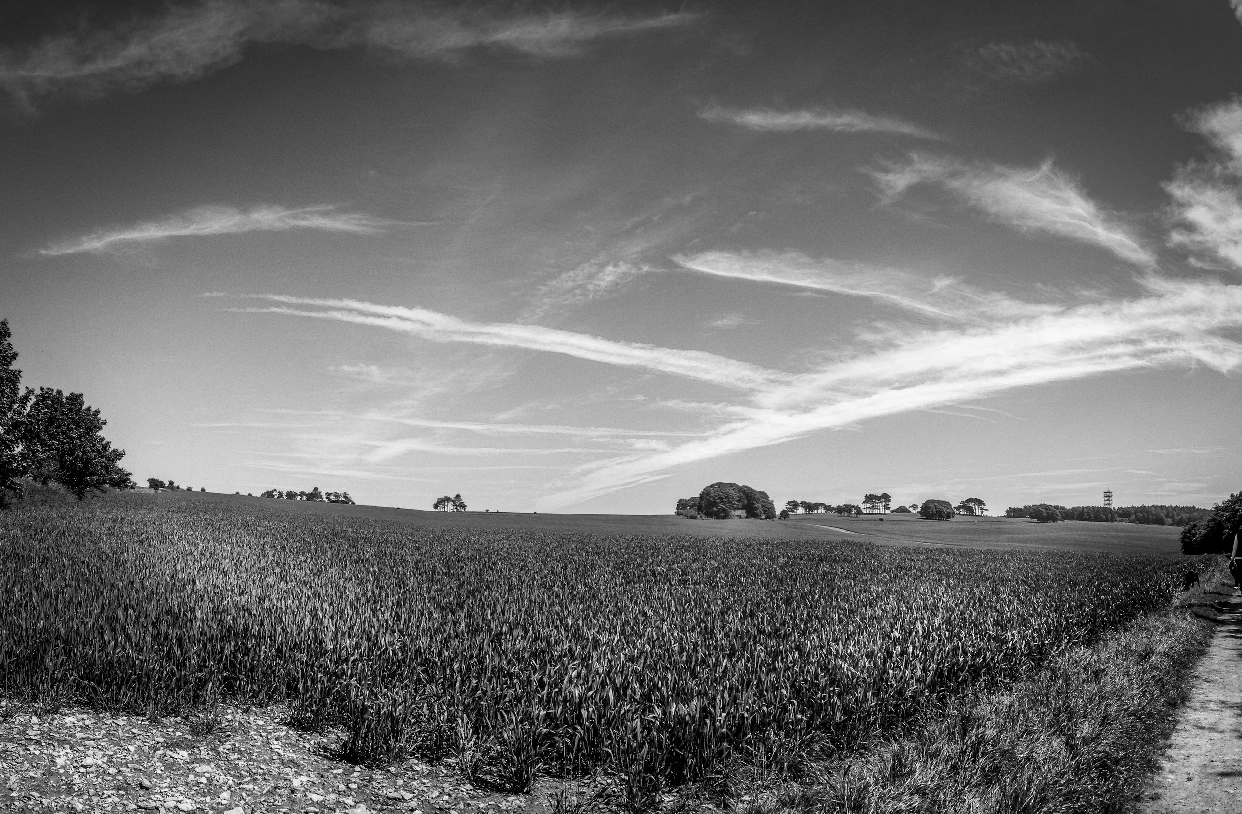 this image is made out of 3 individual images and composited into a large 4000 x 2700 pixel image