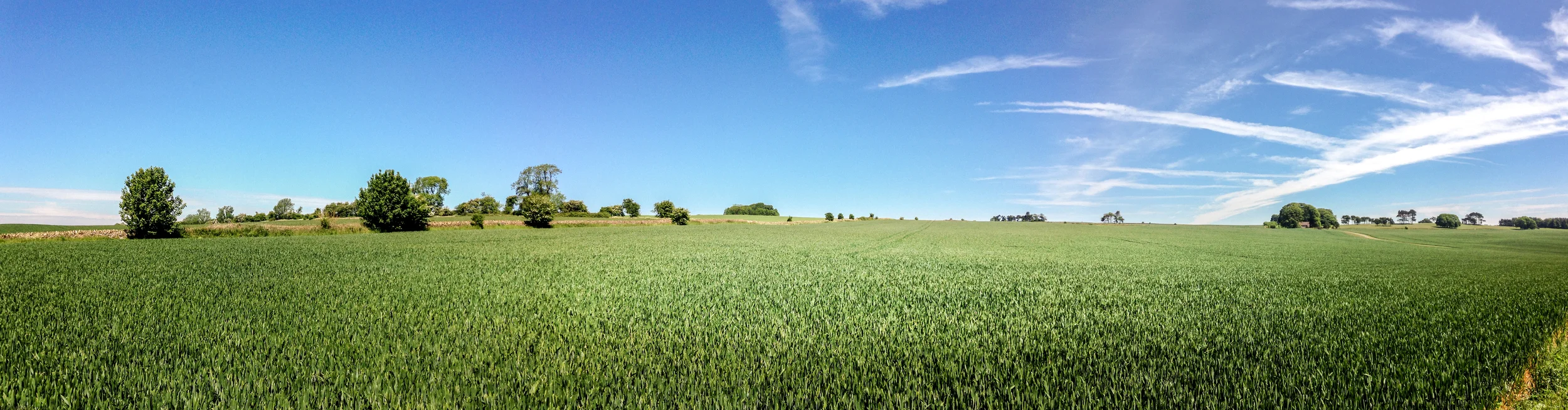 this was not shot using the iPhone panorama setting but rather using Adobe lightroom to stich together 5 pictures