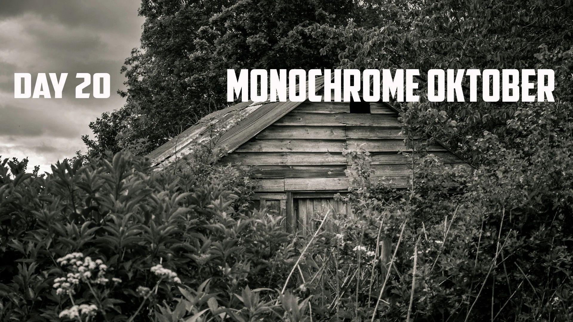Monochrome Oktober Day 20