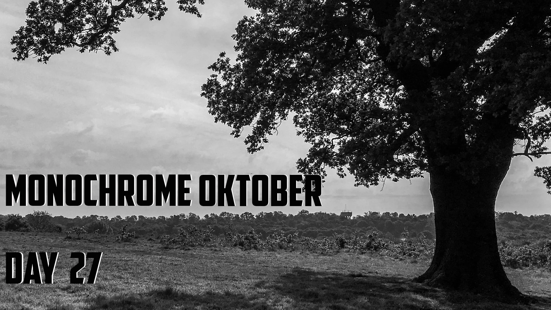 Monochrome Oktober Day 27
