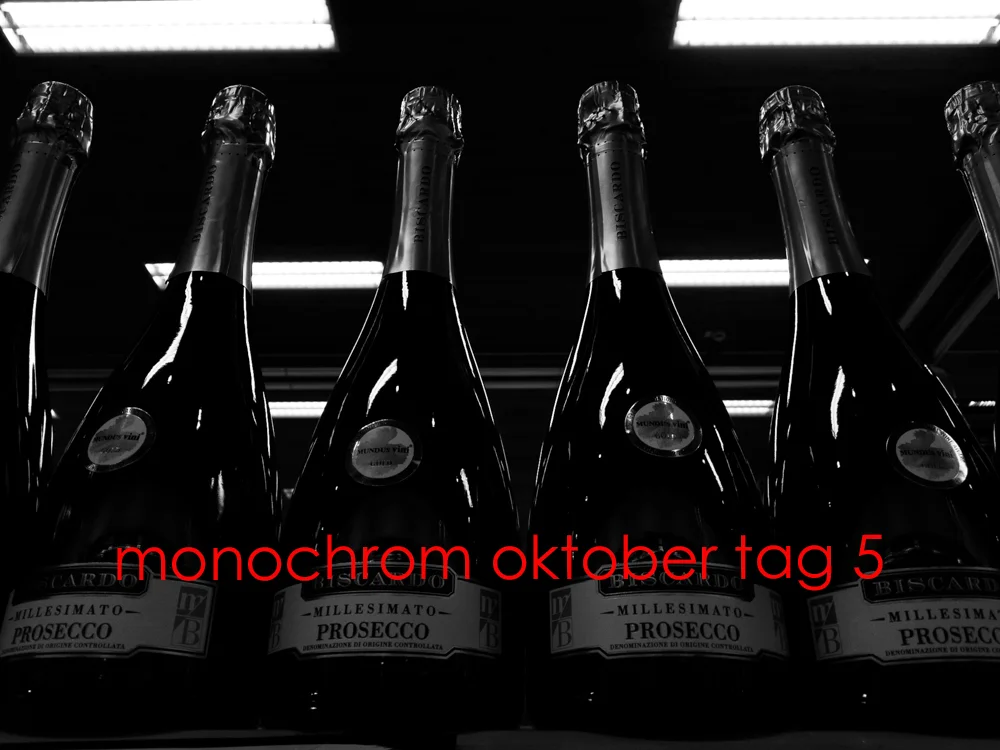 Monochrom Oktober Day 5