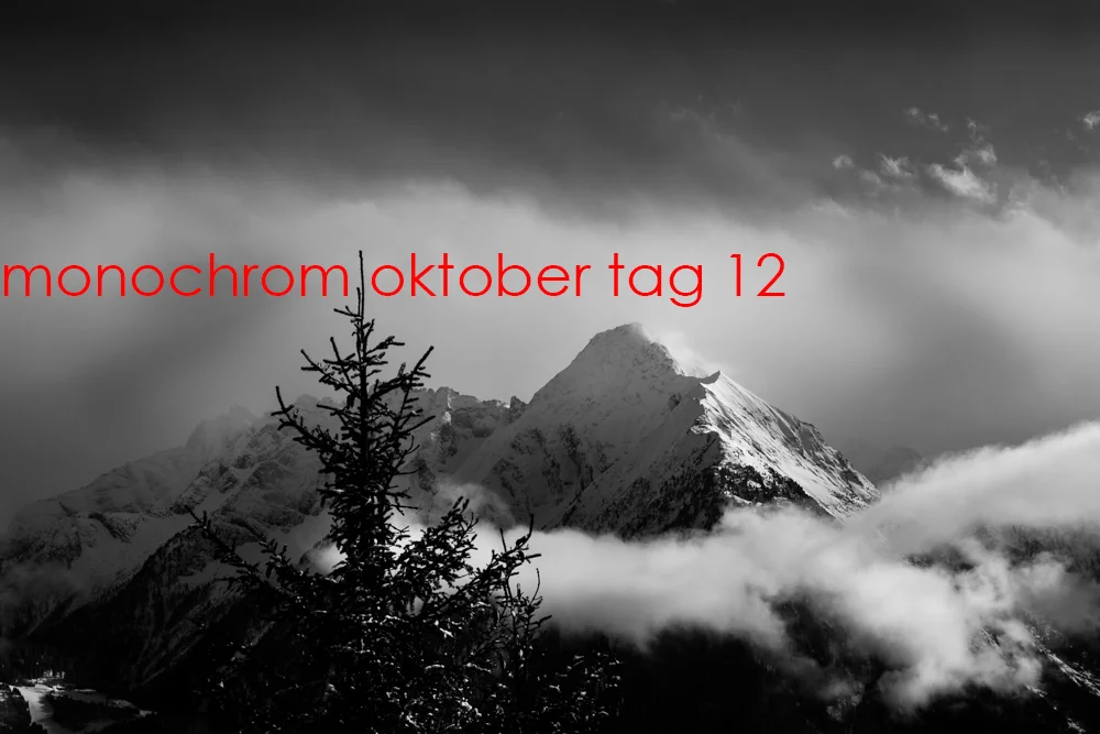 Monochrom Oktober Day 12