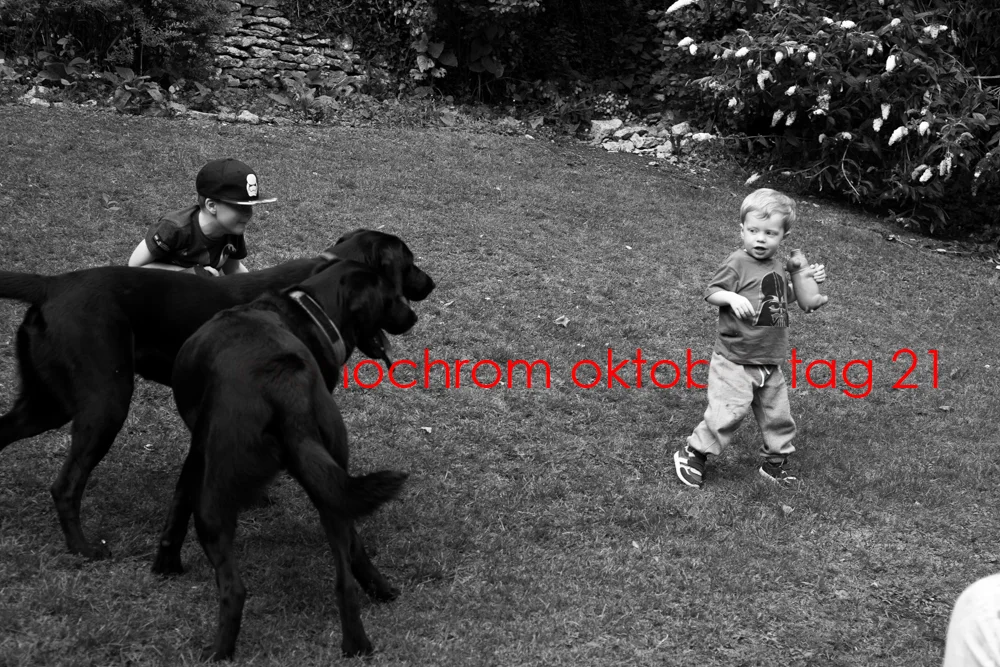 Monochrom Oktober Day 21