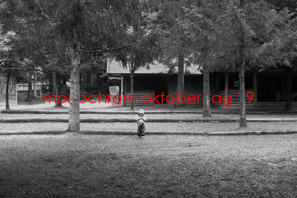 Monochrom Oktober Day 29