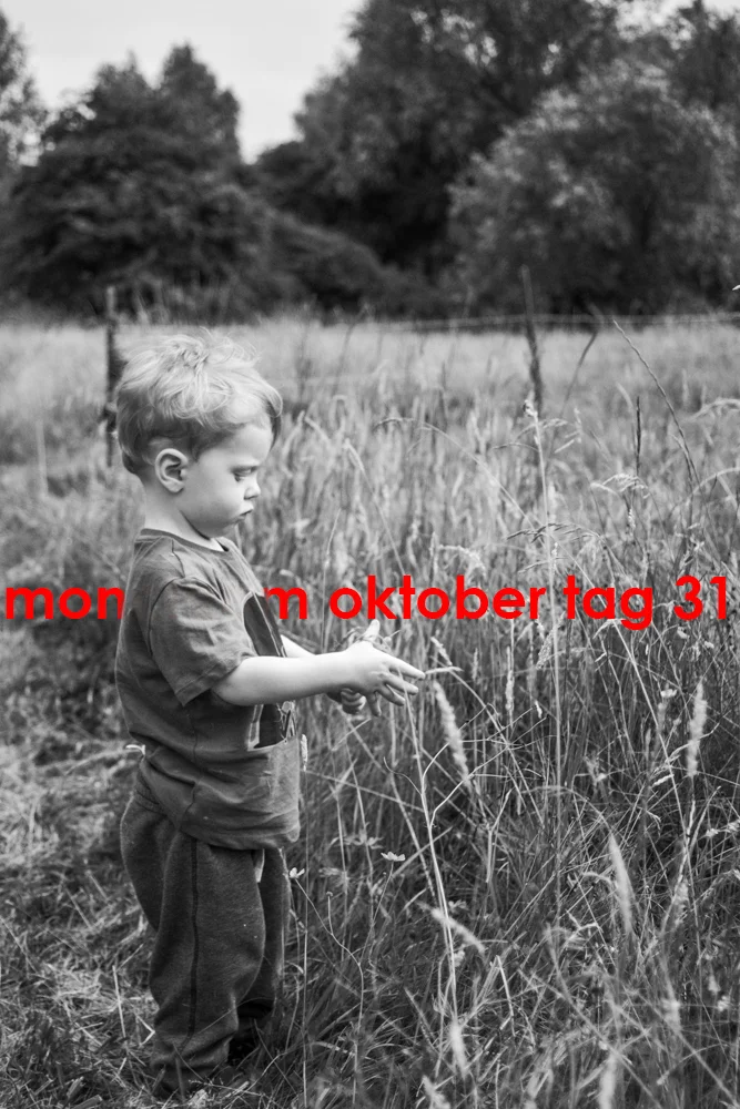Monochrom Oktober Day 31
