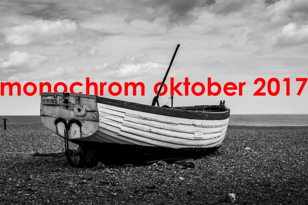 The Monchrom Oktober Gallery 2017