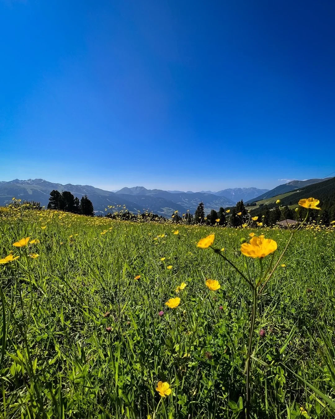 Just out scouting for good locations for #destinationweddings #portrait shoots and this one defiymade the list, #summertime only I&rsquo;m afraid as it is a ski piste in winter!  Ich war gerade auf der Suche nach guten Locations f&uuml;r #destination