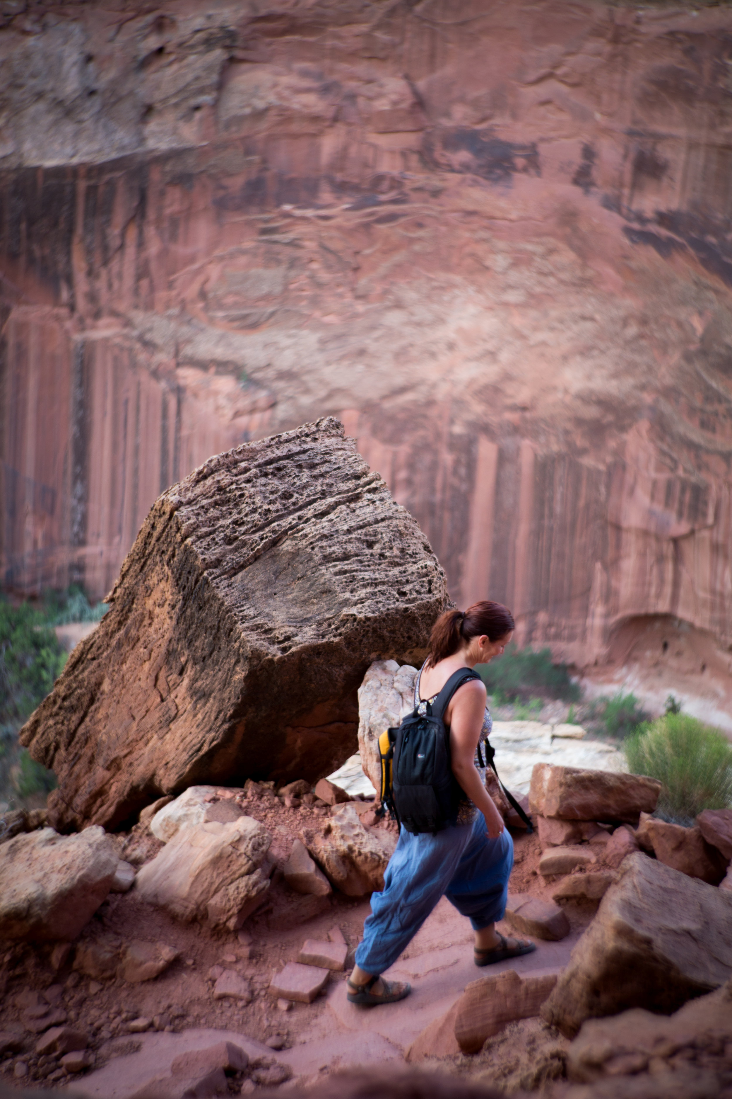 Capital Reef-9.jpg