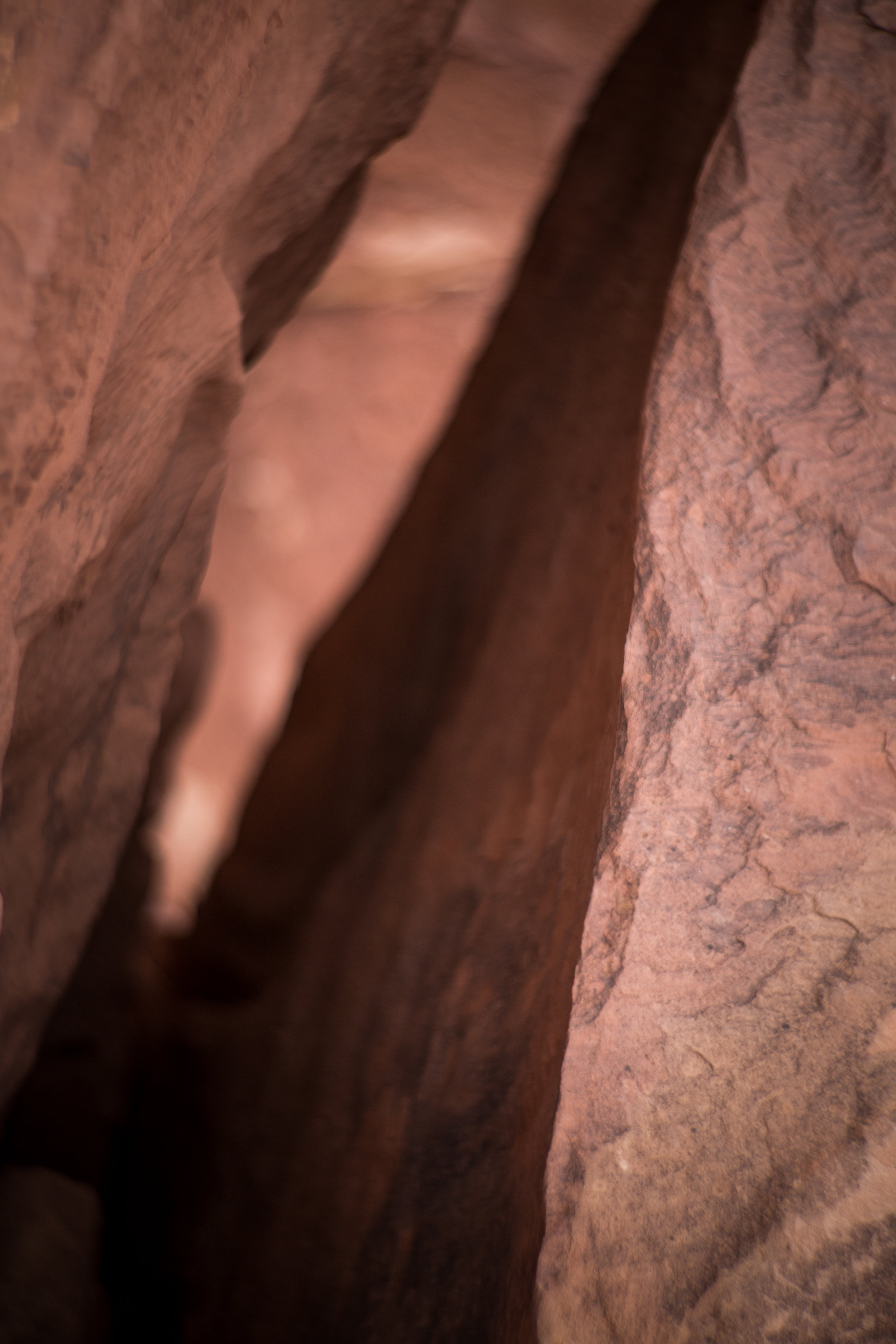 Capital Reef-24.jpg