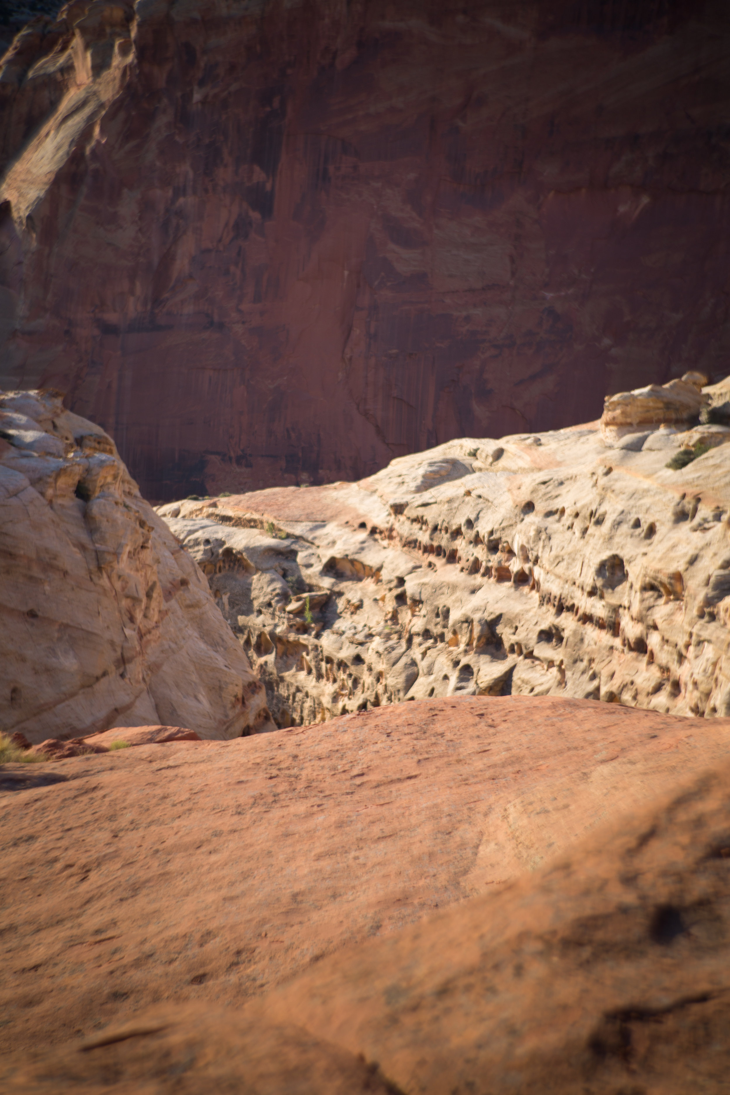 Capital Reef-10.jpg