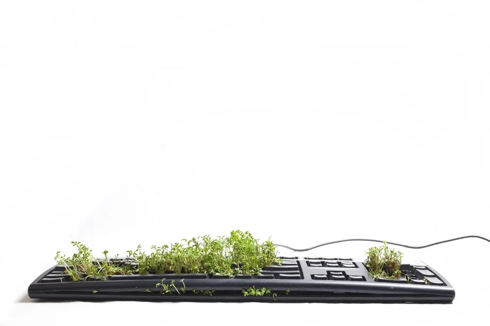 meer naar buiten.webp