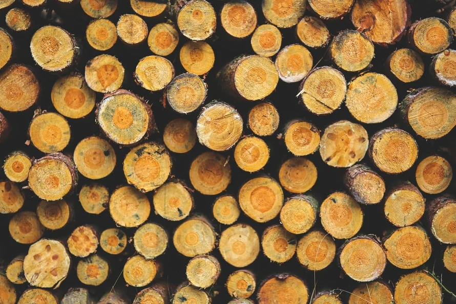 wood-forest-fire-fireplace-large.jpg