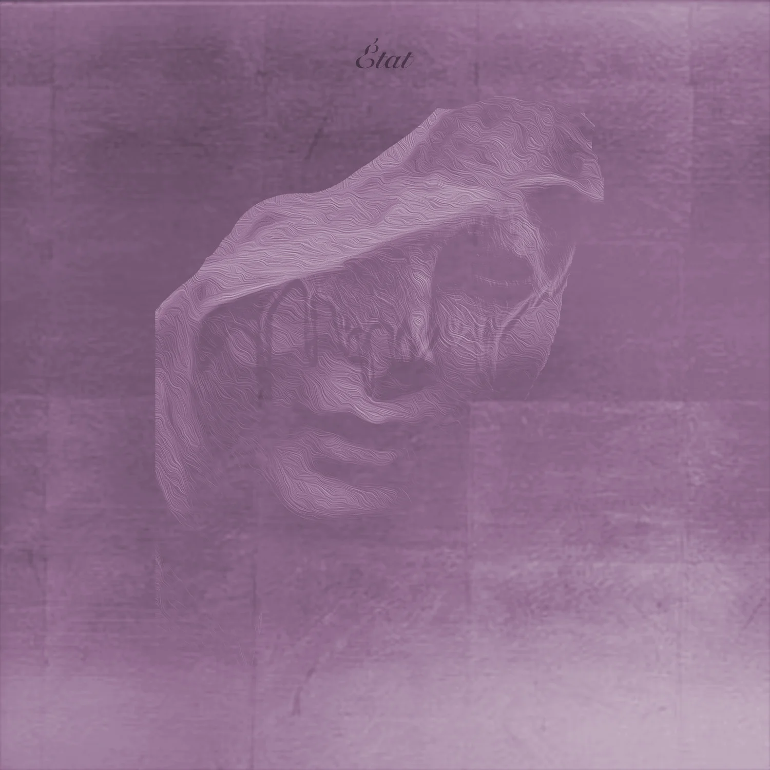 DanielWfinal+front+ (1) reed violet two.jpg